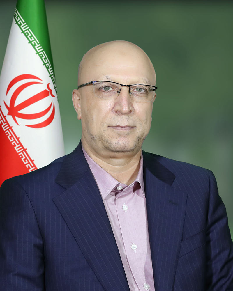تصویر رسمی استاد دکتر محمدعلی زلفی‌گل